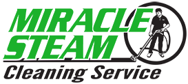 Professional Carpet Cleaning Service